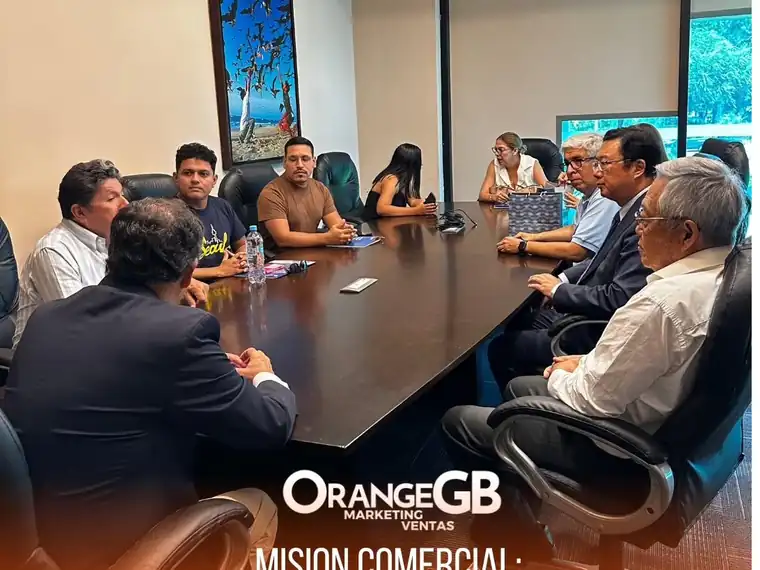 Misión comercial CAPECHI — Coordinación institucional